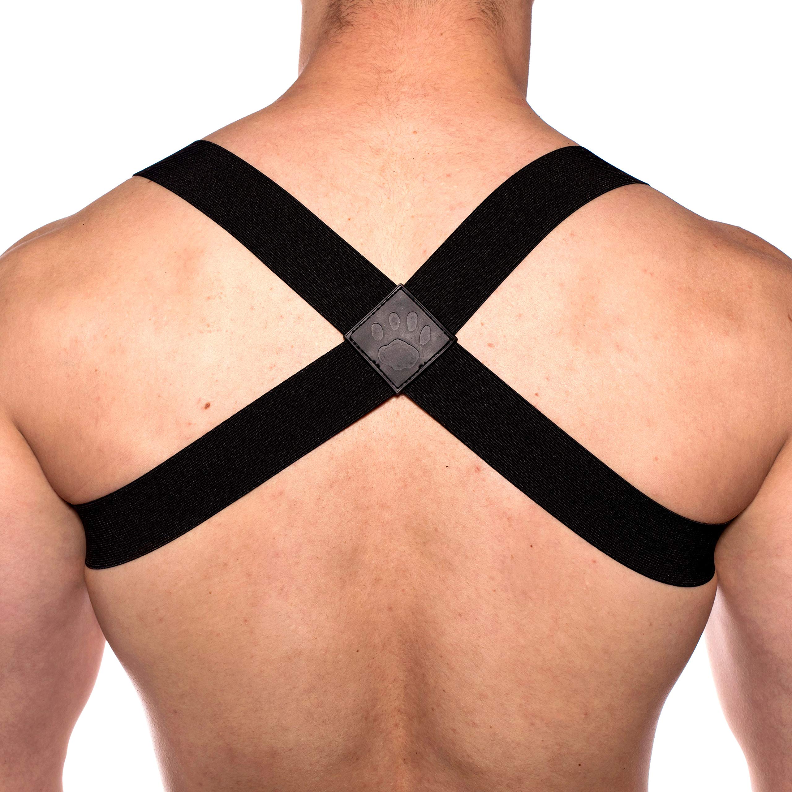 Prowler Red Sports Harness Black