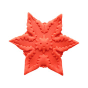 Clf Starsi Coral