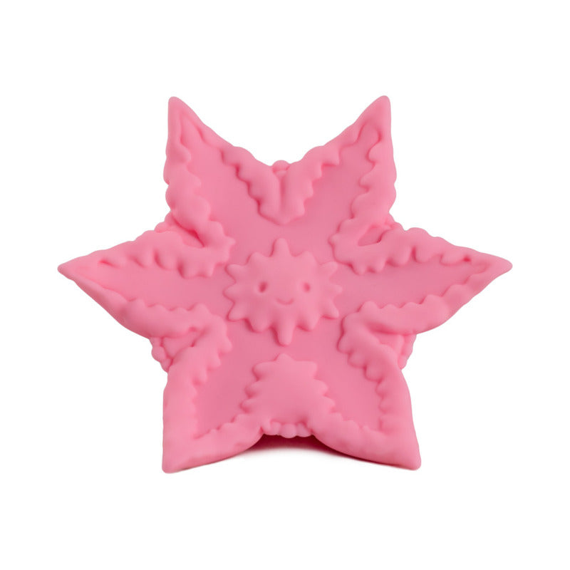 Clf Starsi Rose