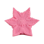 Clf Starsi Rose