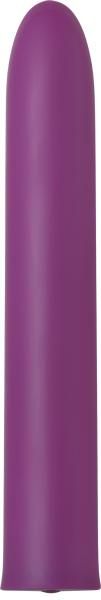 Eve039s Satin Slim Rechargeable Vibe Purple with SleeveD0102H5LKRV