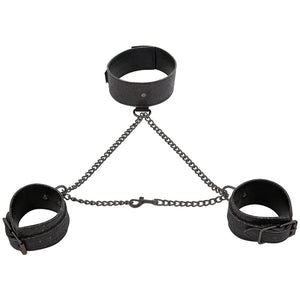WILL-SS09915