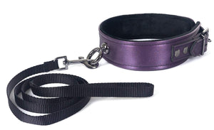 WILL-SPU301PU