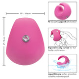 HONE-SE0006203